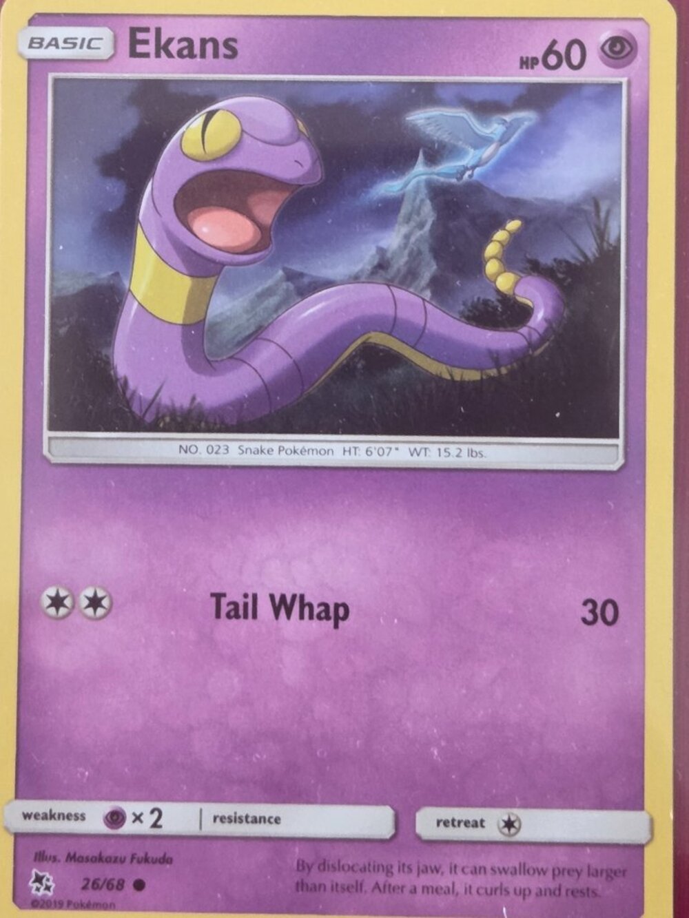 2019 POKEMON, EKANS CARD!!!